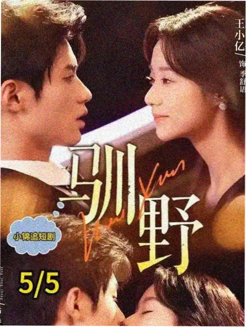 第七码头漫画海报，夜色中的集装箱码头